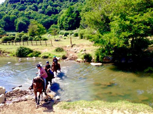 a group of people riding horses crossing a river at OAK Glamping Relax in Manziana