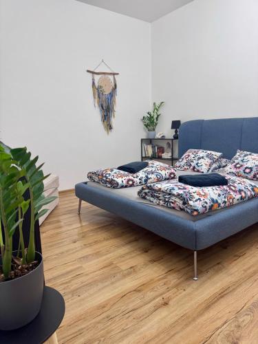 Sušilova 14 apartments IV