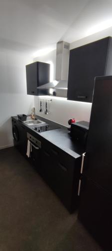 - une cuisine avec des placards noirs et un évier dans l'établissement l'incontournable Villepinte Parc des expositions, à Villepinte