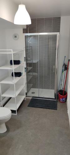 une salle de bain avec une douche en verre et des toilettes dans l'établissement l'incontournable Villepinte Parc des expositions, à Villepinte