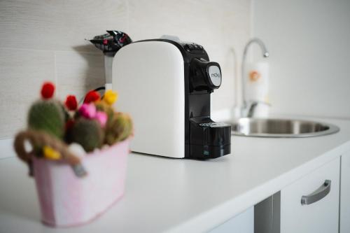 a kitchen counter with a potted plant next to a sink at Puglia Mar in Mola di Bari