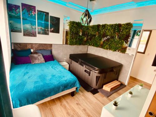 - une petite chambre avec un lit et une télévision dans l'établissement Logement 2 chambres proche MEETT & aéroport, à Aussonne