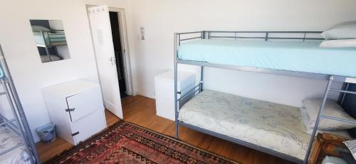 a room with two bunk beds and a rug at Hermanus Backpackers & Budget Accommodation in Hermanus