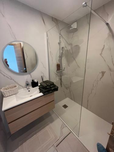 une salle de bain avec une douche, un lavabo et un miroir dans l'établissement Central Park Cannes, à Cannes