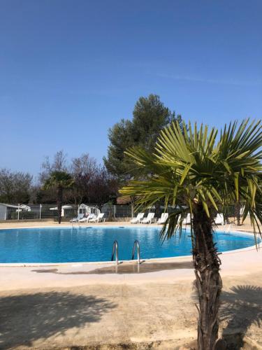 a palm tree in front of a swimming pool at Domaine des Iscles mobile home clim, jardinet sans vis-à-vis in La Roque-dʼAnthéron