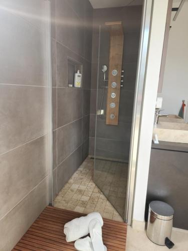 une salle de bain avec une douche avec une porte vitrée dans l'établissement TM3L Family home, à Meillant