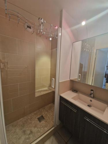 une salle de bain avec un lavabo et une douche dans l'établissement Petite Venise, à Sète