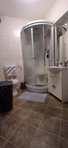 a bathroom with a shower and a sink and a toilet at Fazana SS in Fažana
