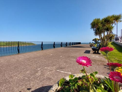a view of a beach with pink flowers and the ocean at Happy Sandy Feet in Youghal