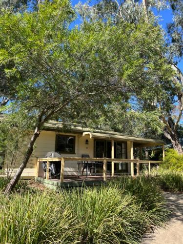 a house with a tree in front of it at River Frontage Unit Moama in Moama