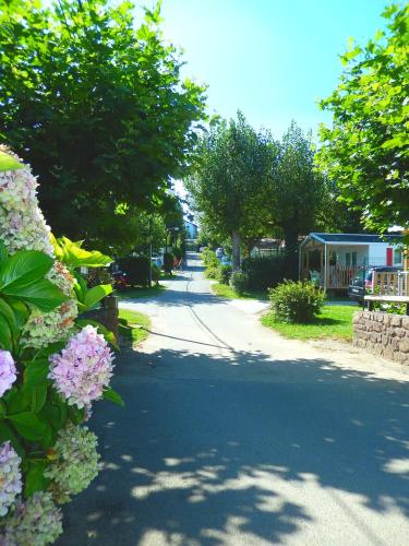 Zahrada ubytování Camping Harrobia
