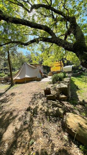 Zahrada ubytování Glamping Serraiola Alta