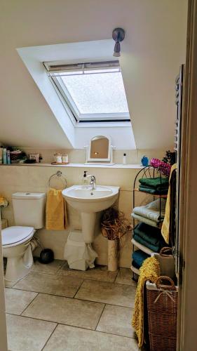 a bathroom with a toilet and a sink with a skylight at Village life- Private Attic Suite - Living Room, Bedroom and Bathroom in Newtown Saint Boswells