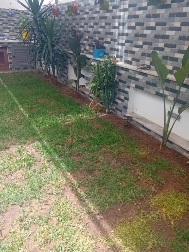 a garden with grass and plants in front of a building at Folla in Nabeul