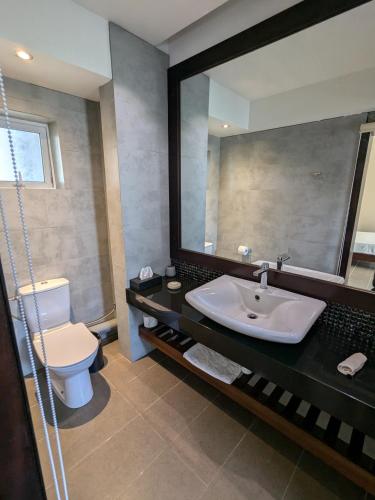 a bathroom with a sink and a toilet and a mirror at Dodola Lodge in Pereybere