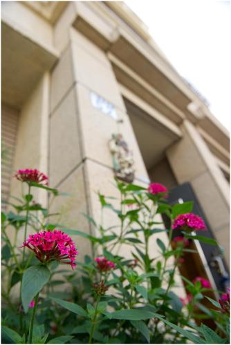 a group of pink flowers in front of a building at Errantry Lodge & Studio in Hualien City