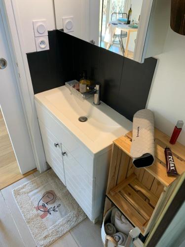 une salle de bain avec un lavabo et un miroir dans l'établissement Cozy Accommodation - Montpellier, à Montpellier