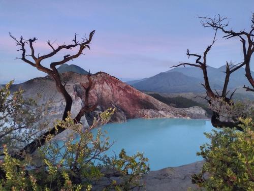 a view of a blue lake with trees at Nio Homestay and Tour in Licin