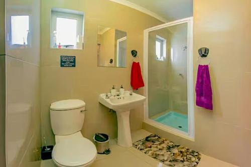 a bathroom with a toilet and a sink and a shower at 90 On Wellington Cottage in Port Elizabeth