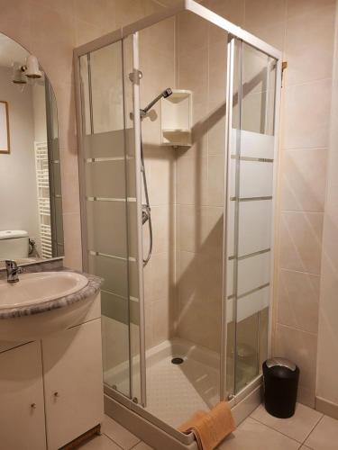 une douche avec une porte vitrée dans une salle de bain dans l'établissement Appolon, à Colmar