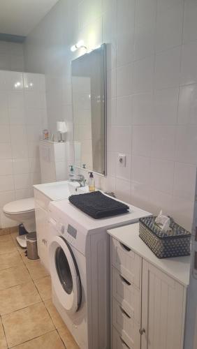 une salle de bain avec une machine à laver et un lavabo dans l'établissement La Laghetanne, idéalement située entre Nice et Monaco Maison Indépendante Voiture indispensable, à La Trinité