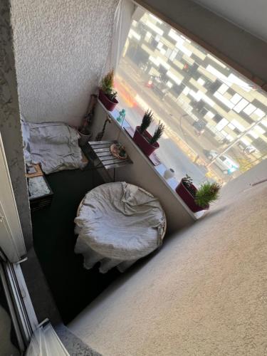 Cette chambre comprend un lit et une fenêtre ornée de plantes. dans l'établissement Room private chambre privé, à Choisy-le-Roi