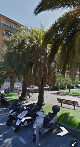 two motorcycles parked in a parking lot next to palm trees at DRoom-Sauna Balneo & Cinema à Menton jusqu'à 4 invités in Menton