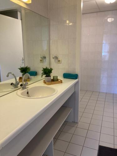 a bathroom with a sink and a shower with a mirror at IJsselmeerzicht sfeervol appartement aan het strand! Privé parkeerplaats in Makkum