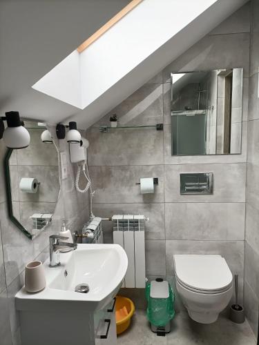 a bathroom with a sink and a toilet and a mirror at Apartamenty w Stodole in Krościenko