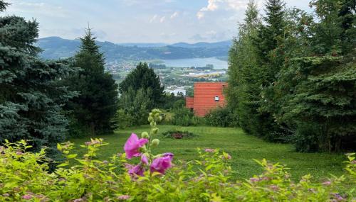 Gallery image of Domek z widokiem na jezioro Rożnowskie in Białowoda