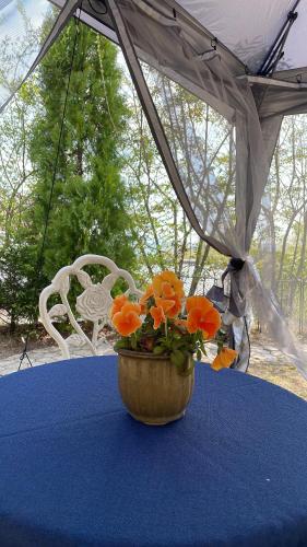 a vase with flowers sitting on a blue table at ガーデンリゾート 潮美庵 in Hatsukaichi