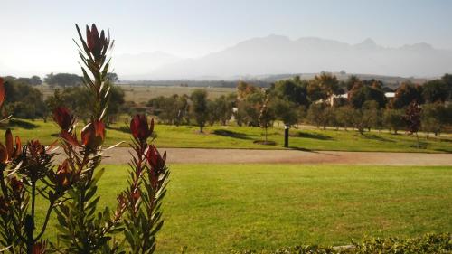 a field of green grass with a dirt road at Wild Mushroom Country House in Stellenbosch