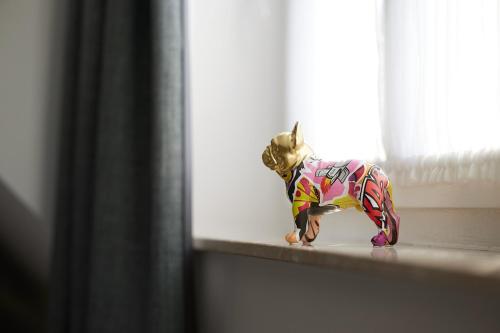 a small toy doll sitting on a window sill at Kochs Stadthotel in Olpe