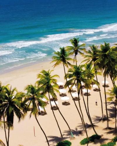a group of palm trees on a beach with the ocean at Hesperia Playa el Agua in El Agua