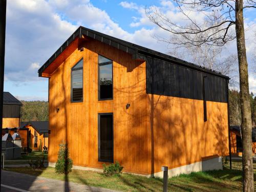 a wooden house with a black roof at Phoenix Medical Resort in Skhidnitsa