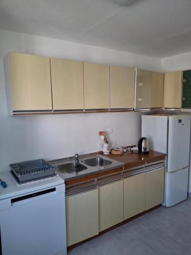 a kitchen with a sink and a white refrigerator at Edo Apartman 1 in Senj