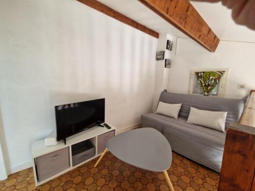 un salon avec un canapé et une télévision dans l'établissement maison à louer, à Saint Cyprien Plage
