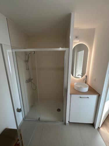 une salle de bain avec douche et lavabo dans l'établissement Le spot, à Camiers