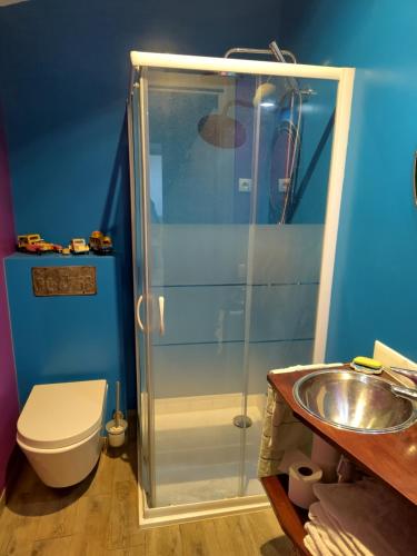 ein Badezimmer mit Dusche, Toilette und Waschbecken in der Unterkunft Maison avec jardin au coeur du village in Ampus