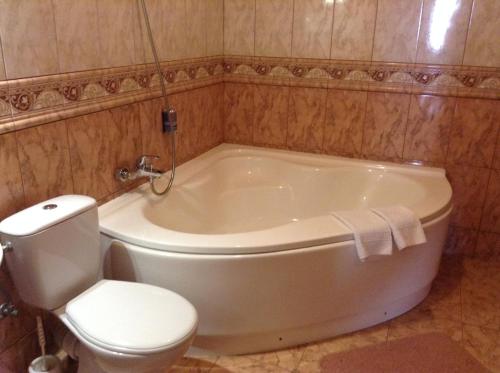 a bathroom with a toilet and a bath tub with at Hotel Serpanok in Tyachiv