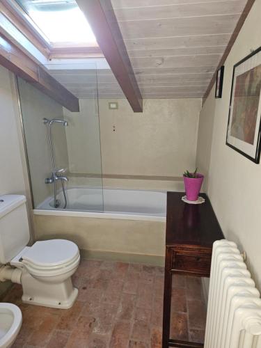 a bathroom with a toilet and a bath tub at Sogni nel Bosco in Varsi