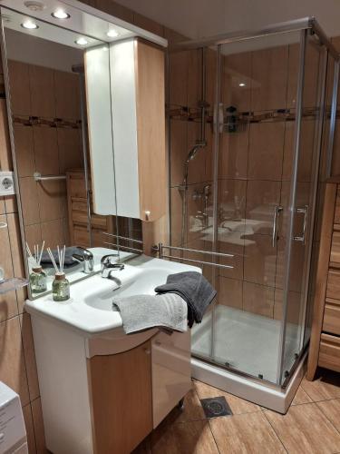 a bathroom with a sink and a shower at Apartment Tina in Vodnjan