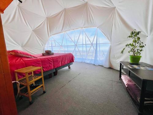 Una cama o camas en una habitación de Vilos Domo excepcional domo privado