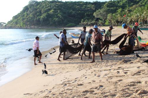 a group of people pulling a net on a beach at Clara's Beach Inn in Trincomalee
