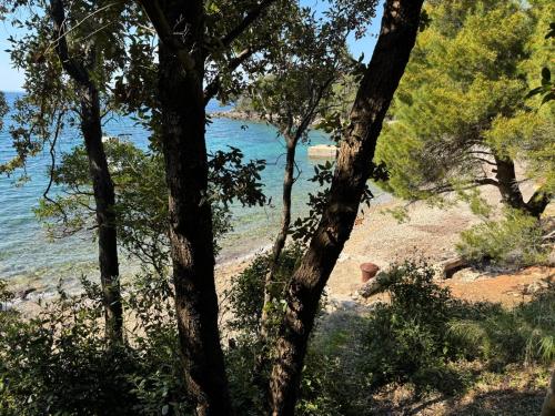 Φυσικό τοπίο κοντά σε αυτό το διαμέρισμα