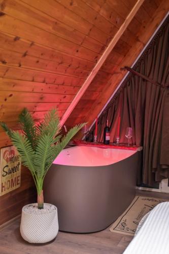 a bar in a room with a potted plant at Bujtina Miqesia in Theth