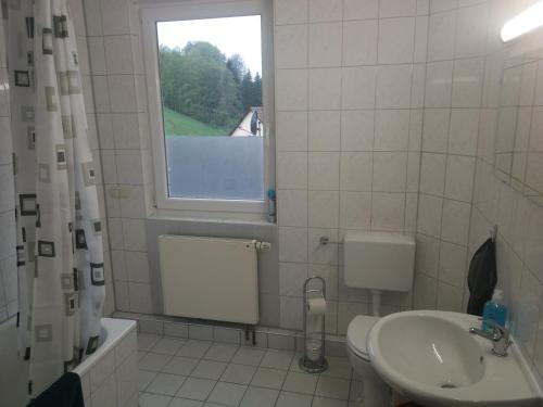 a bathroom with a toilet and a sink and a window at Ferienwohnung Bergblick O2 in Osterode