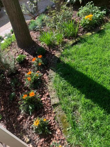 a garden with flowers in the grass and a tree at La tua casa con giardino a 2 passi dal centro in Modena