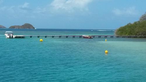 a large body of water with a dock and a boat at Studio BRAZILIA Bois et Nature, terrasse avec vue sur les Pitons in Le Robert