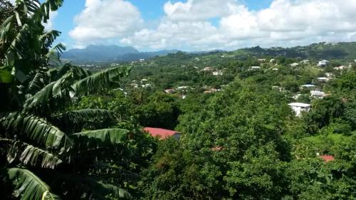 a view of a forested area with houses and trees at Studio BRAZILIA Bois et Nature, terrasse avec vue sur les Pitons in Le Robert